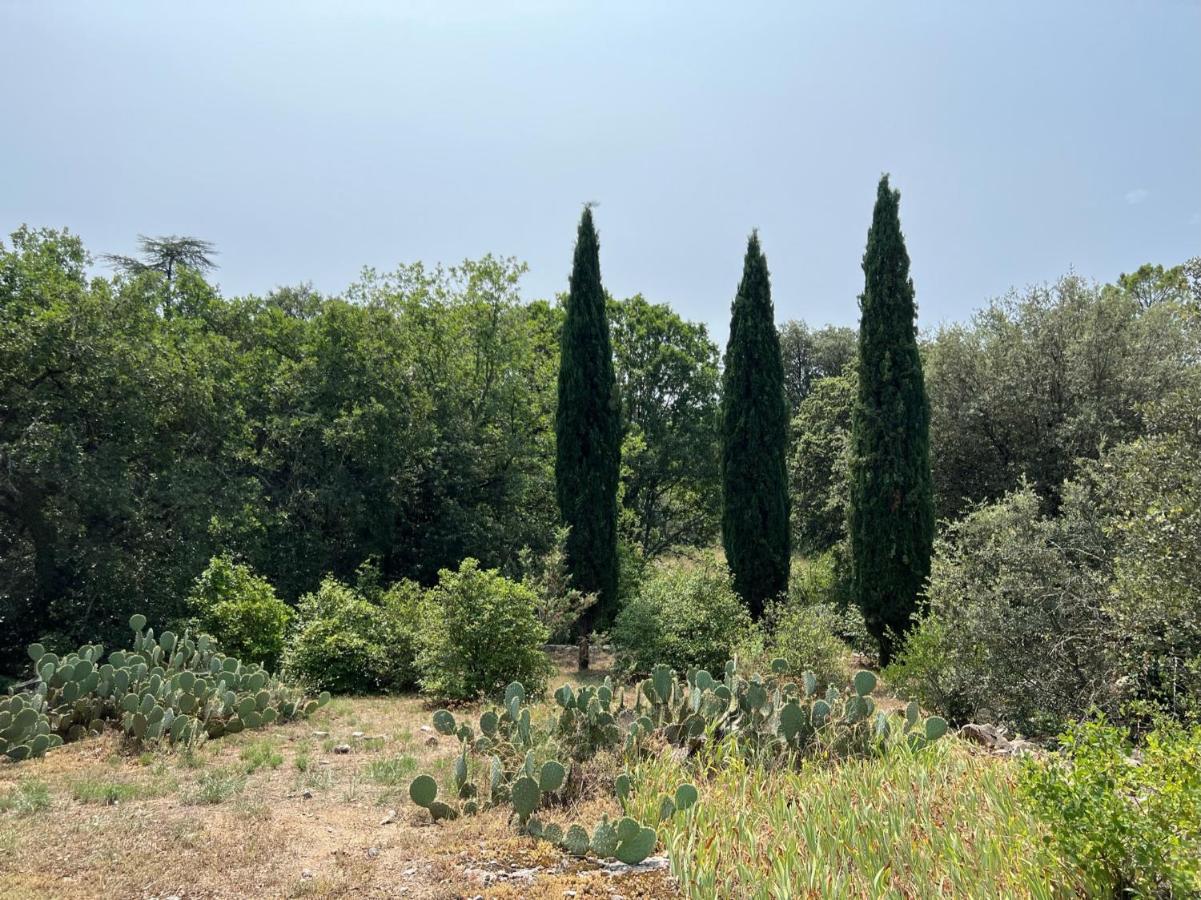 הוילה לס ואנס Luxurious Family House With Pool In Ardeche. מראה חיצוני תמונה