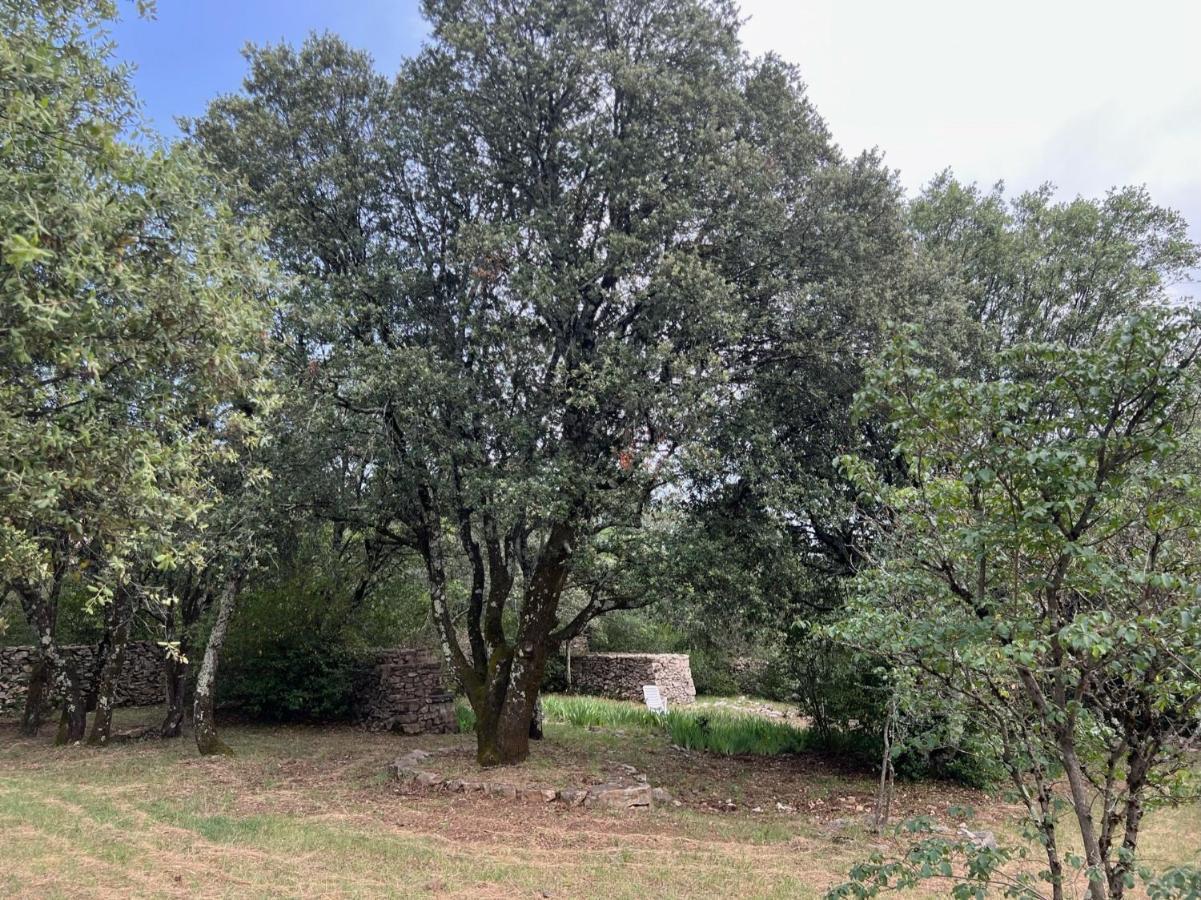 הוילה לס ואנס Luxurious Family House With Pool In Ardeche. מראה חיצוני תמונה